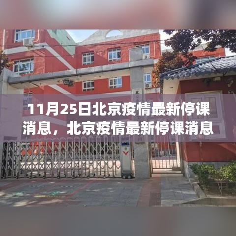 北京疫情最新停课消息，历史背景、重要事件及深远影响分析