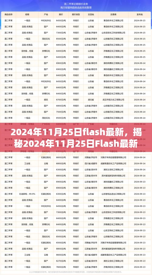 揭秘，2024年11月25日Flash最新动态与技术革新趋势引领未来产业变革