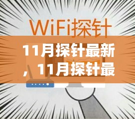 深入探究某某观点，最新热点分析与预测——以11月探针为视角