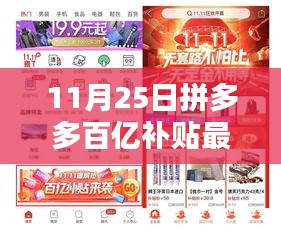 拼多多百亿补贴最新动态深度解析与案例分享（11月25日更新）