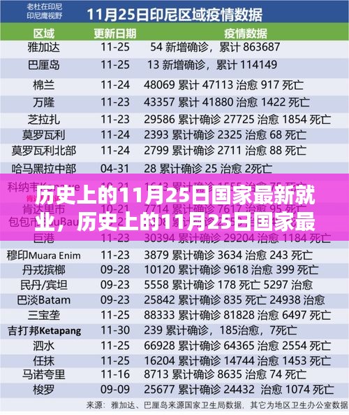 历史上的11月25日国家最新就业动态概览与趋势分析