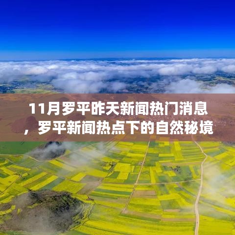 罗平新闻热点下的自然秘境之旅，心灵的宁静港湾探索