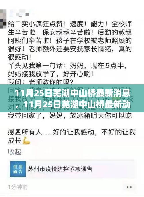 揭秘芜湖中山桥改造进展与未来规划，最新动态消息速递