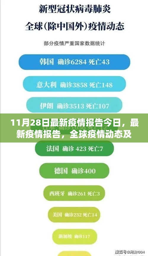 全球疫情动态更新，最新报告揭示关键进展（11月28日）