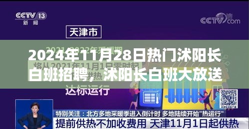 沭阳长白班大招募，2024年11月28日热门职位等你来挑