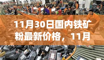 11月30日国内铁矿粉市场最新动态与价格走势分析