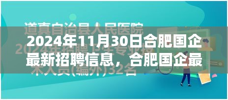 合肥国企最新招聘全攻略，获取招聘信息，初学者与进阶用户必备指南（2024年11月30日）