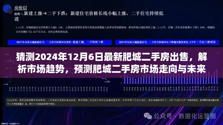 独家解析，肥城二手房市场趋势预测与未来展望（最新预测数据至2024年12月）