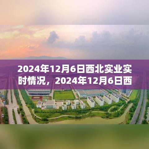 2024年12月6日西北实业深度实时情况解析