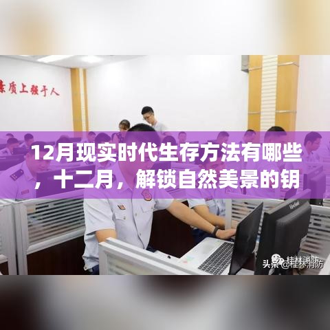 现实时代下的生存法则，十二月自然美景探索与心灵成长之旅