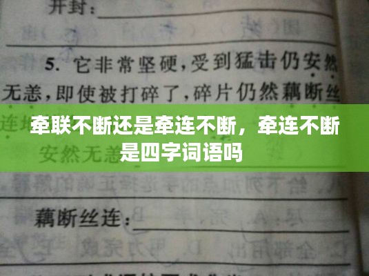 牵联不断还是牵连不断，牵连不断是四字词语吗 