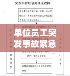 单位员工突发事故紧急报告，事故原因与应对措施揭秘