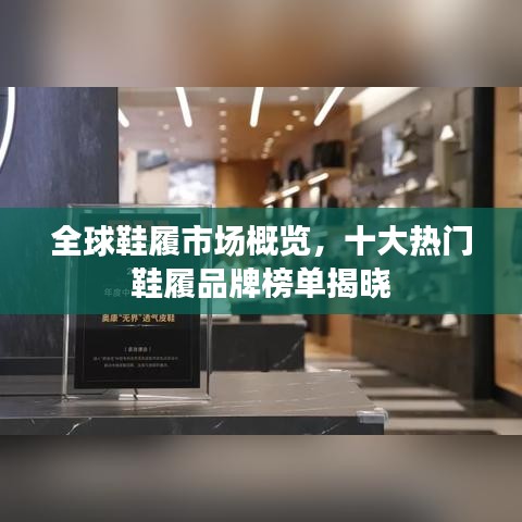 全球鞋履市场概览，十大热门鞋履品牌榜单揭晓