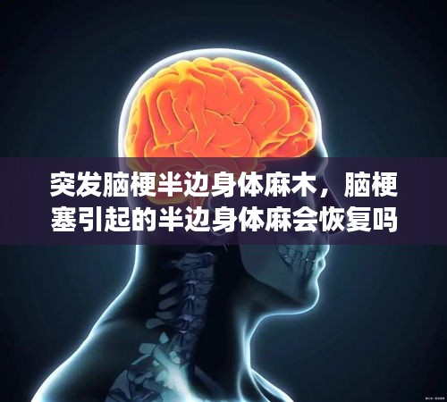 突发脑梗半边身体麻木，脑梗塞引起的半边身体麻会恢复吗? 