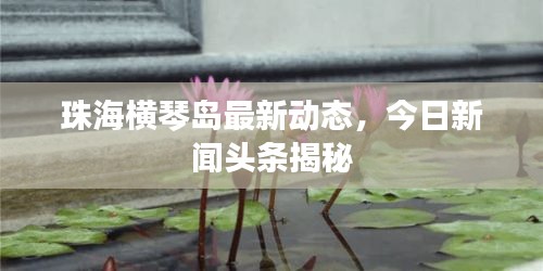 珠海横琴岛最新动态，今日新闻头条揭秘