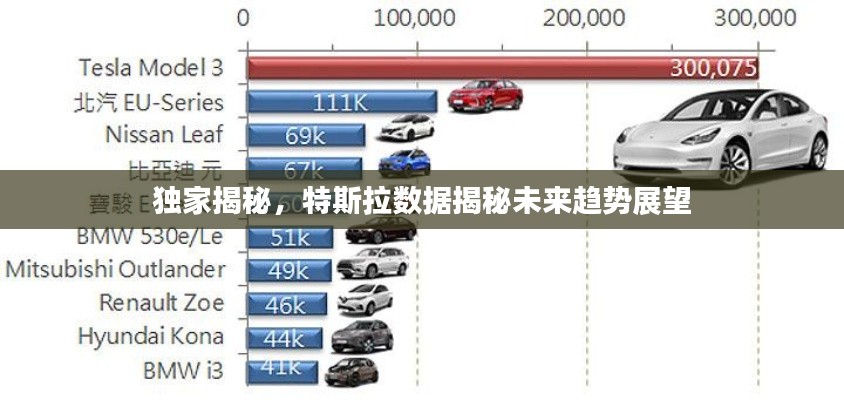 独家揭秘，特斯拉数据揭秘未来趋势展望