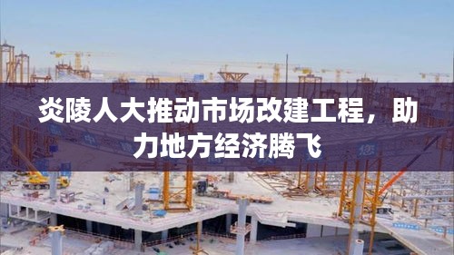 炎陵人大推动市场改建工程，助力地方经济腾飞