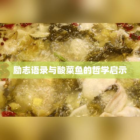 励志语录与酸菜鱼的哲学启示