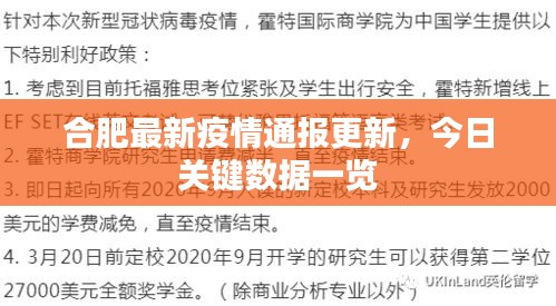 合肥最新疫情通报更新，今日关键数据一览