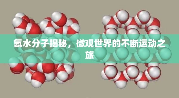氨水分子揭秘，微观世界的不断运动之旅