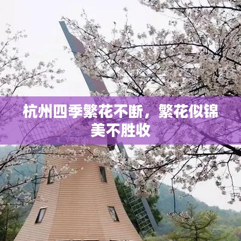 杭州四季繁花不断，繁花似锦美不胜收