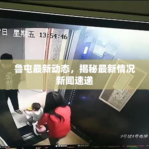 鲁屯最新动态，揭秘最新情况新闻速递