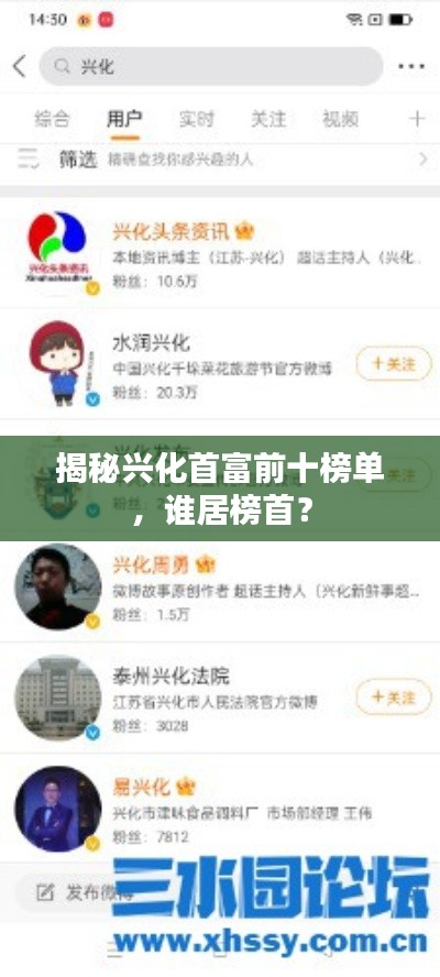 揭秘兴化首富前十榜单，谁居榜首？