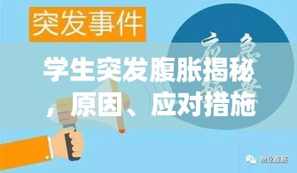学生突发腹胀揭秘，原因、应对措施与预防策略全解析
