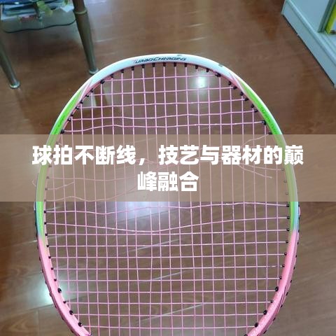 球拍不断线，技艺与器材的巅峰融合
