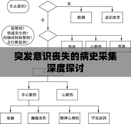 突发意识丧失的病史采集深度探讨