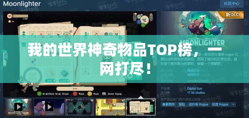 我的世界神奇物品TOP榜，一网打尽！