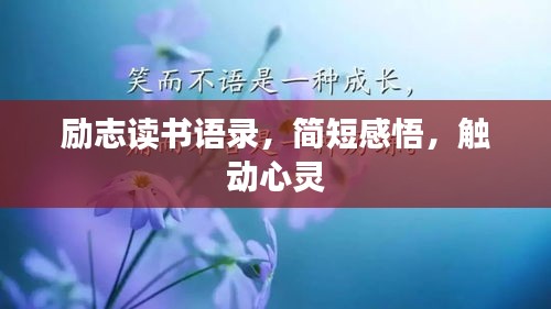励志读书语录，简短感悟，触动心灵