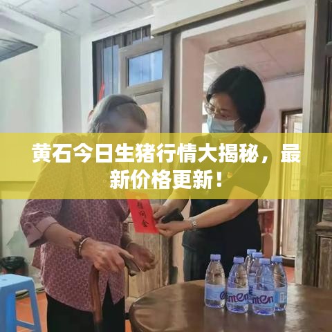 黄石今日生猪行情大揭秘，最新价格更新！