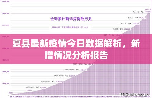 夏县最新疫情今日数据解析，新增情况分析报告