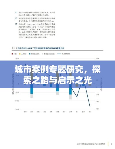 城市案例专题研究，探索之路与启示之光