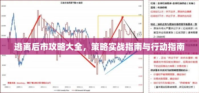 逃离后市攻略大全，策略实战指南与行动指南