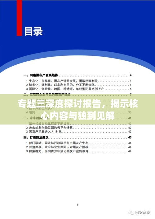 专题三深度探讨报告，揭示核心内容与独到见解