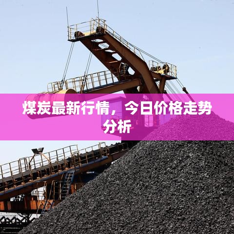 煤炭最新行情，今日价格走势分析