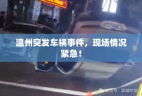 温州突发车祸事件，现场情况紧急！
