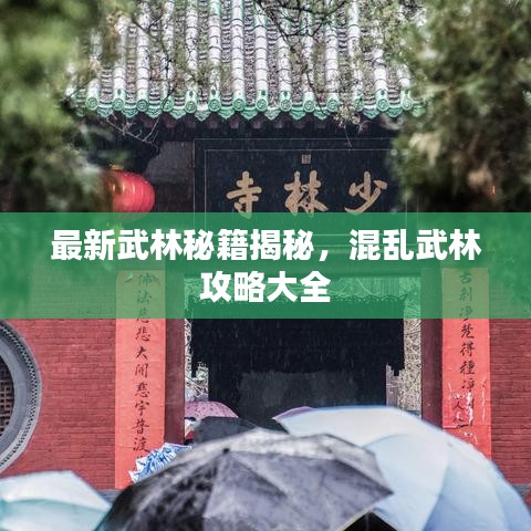 最新武林秘籍揭秘，混乱武林攻略大全