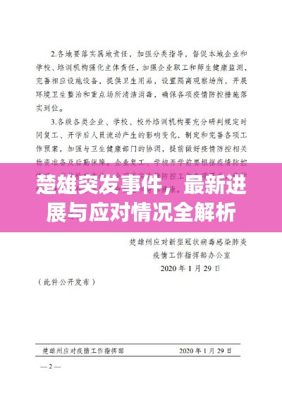 楚雄突发事件，最新进展与应对情况全解析