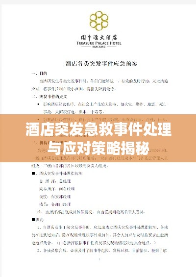 酒店突发急救事件处理与应对策略揭秘