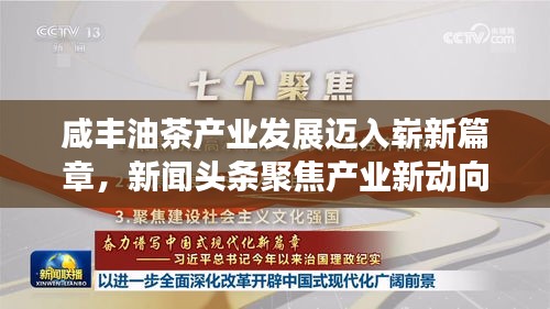 咸丰油茶产业发展迈入崭新篇章，新闻头条聚焦产业新动向