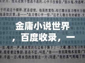 金庸小说世界，百度收录，一网打尽！
