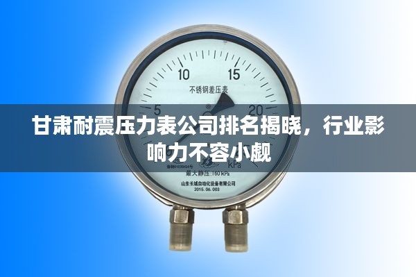 甘肃耐震压力表公司排名揭晓，行业影响力不容小觑