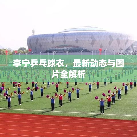 李宁乒乓球衣，最新动态与图片全解析