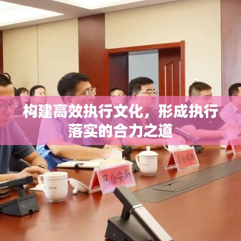 构建高效执行文化，形成执行落实的合力之道