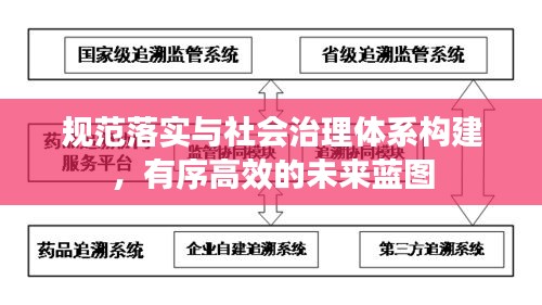 规范落实与社会治理体系构建，有序高效的未来蓝图