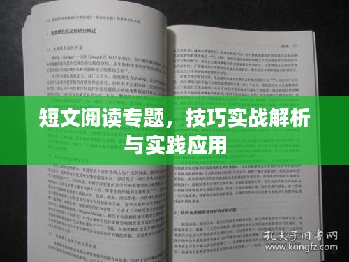 短文阅读专题，技巧实战解析与实践应用